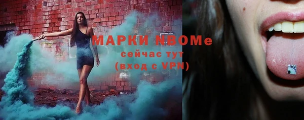 индика Армянск