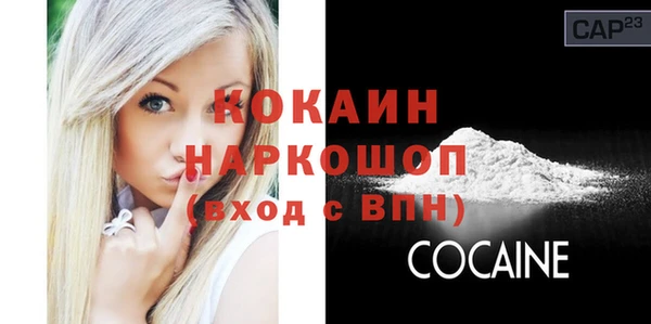 индика Армянск