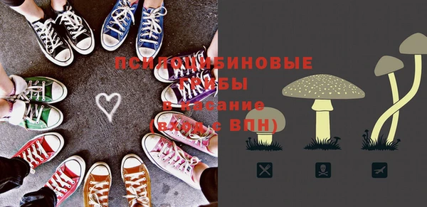 кокс Арсеньев